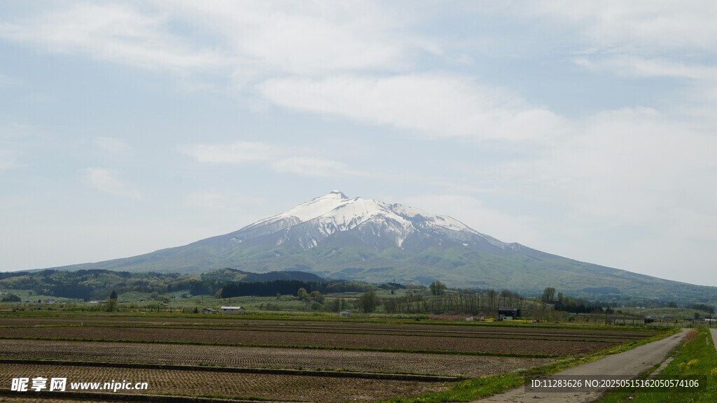田园间的雪山远景