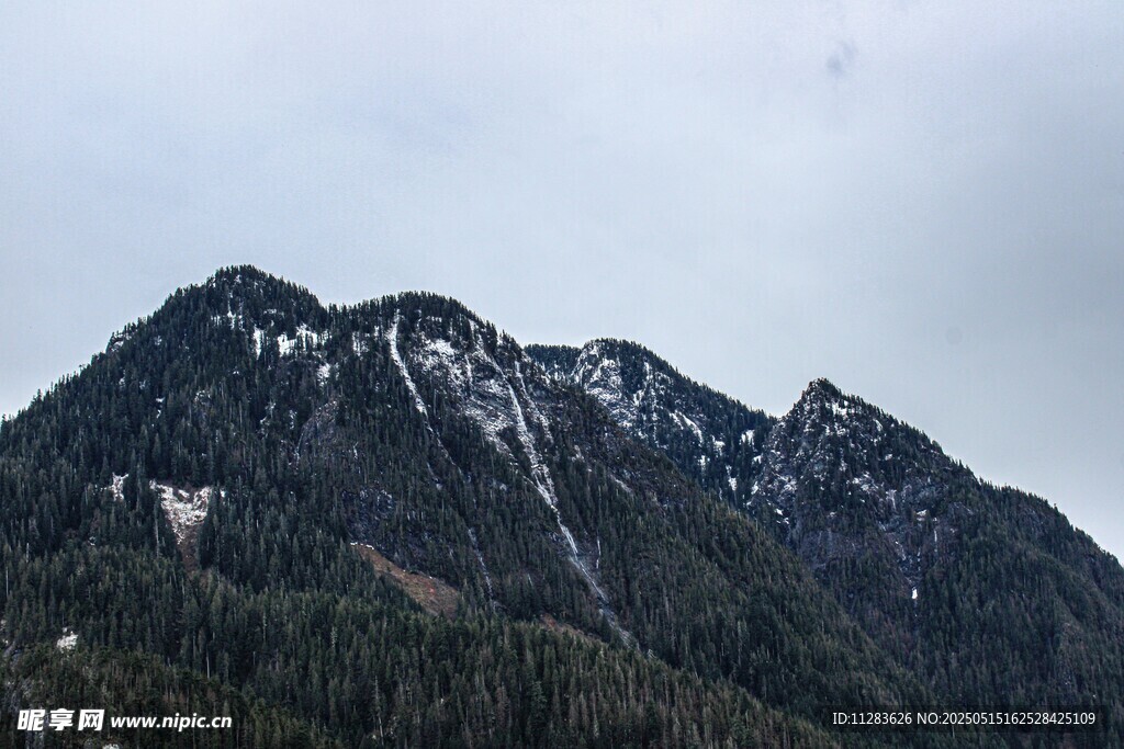 巍峨雪山与葱郁山林