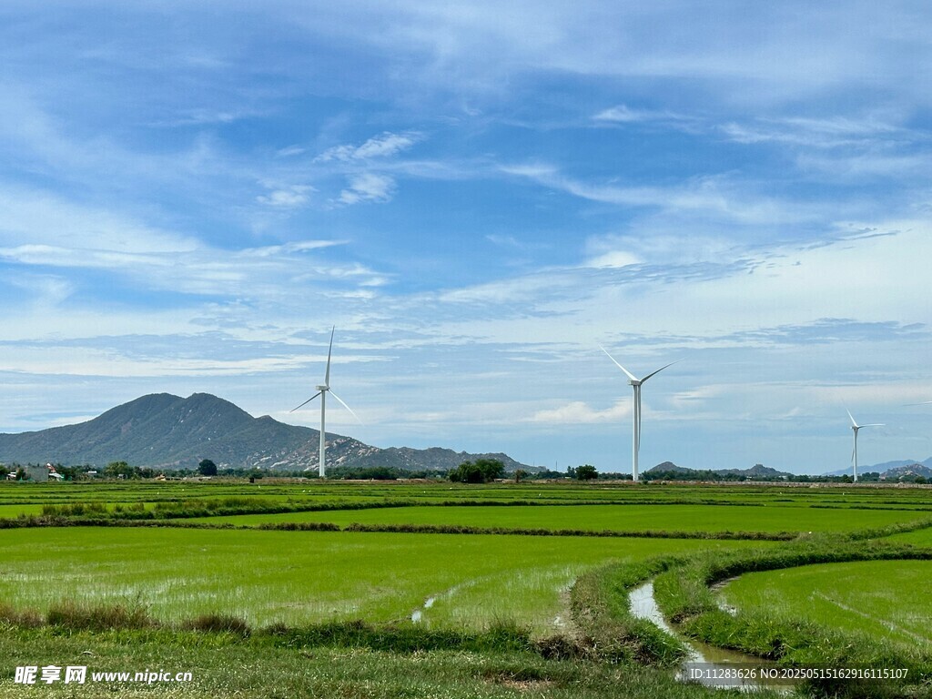 田园风光中的风力发电景观
