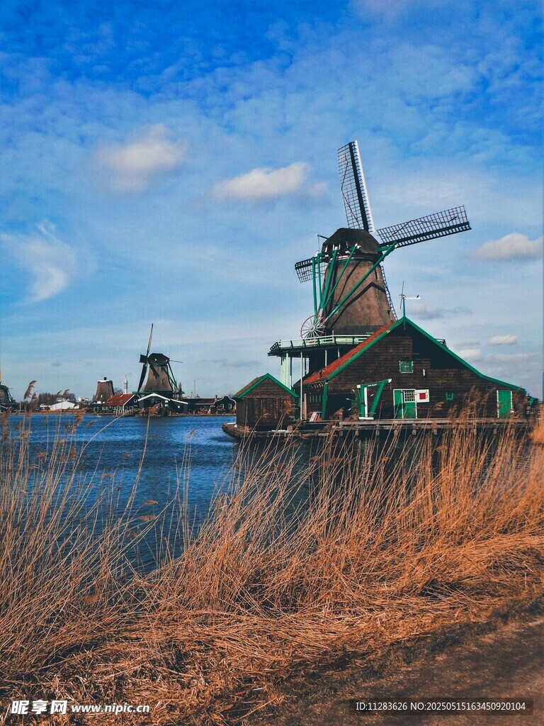 荷兰风车美景