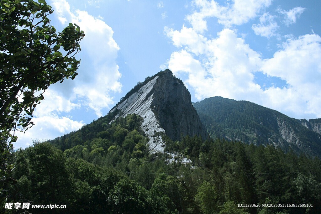 巍峨青山伴葱郁林木
