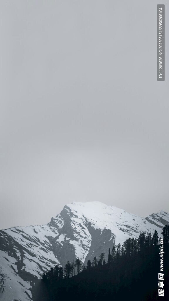 雪山森林景观
