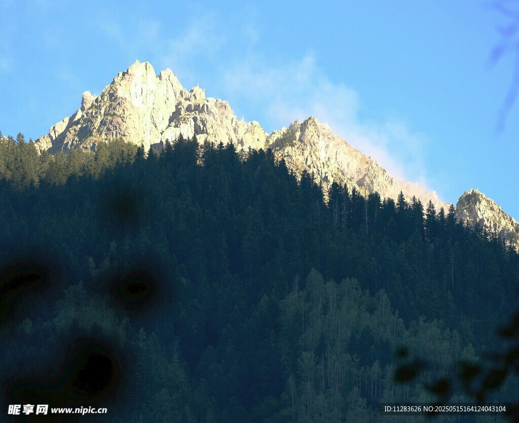 巍峨山峦与茂密森林景观