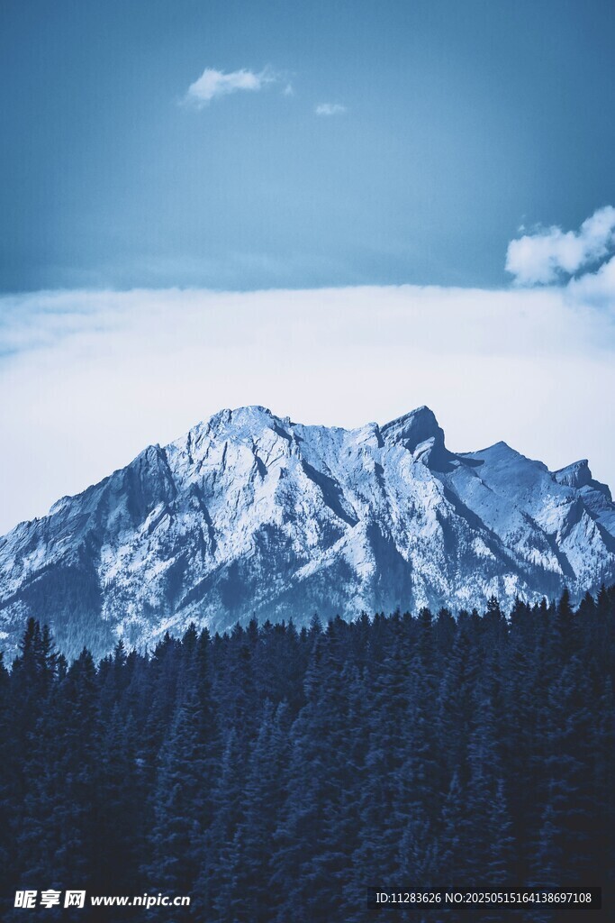 雪山森林美景