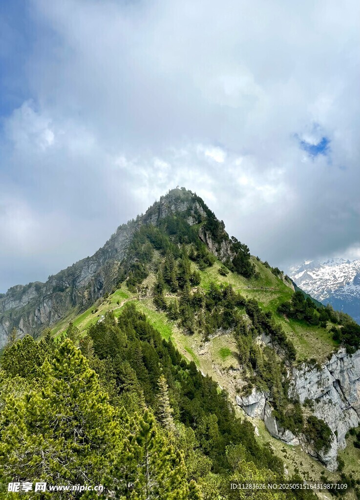 青山巍峨入云间