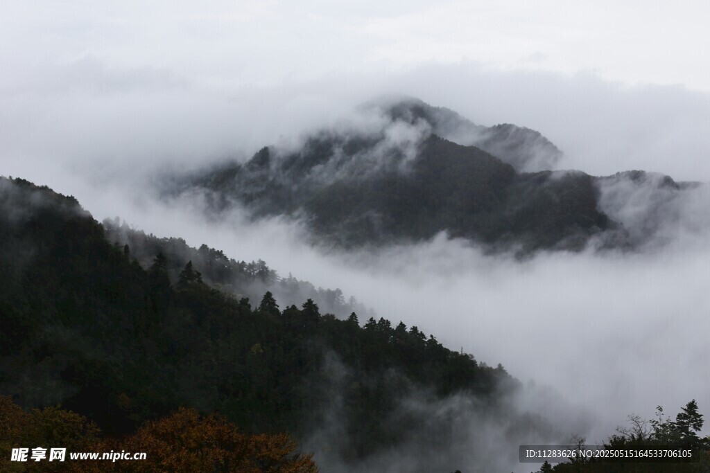 云雾缭绕的山间美景