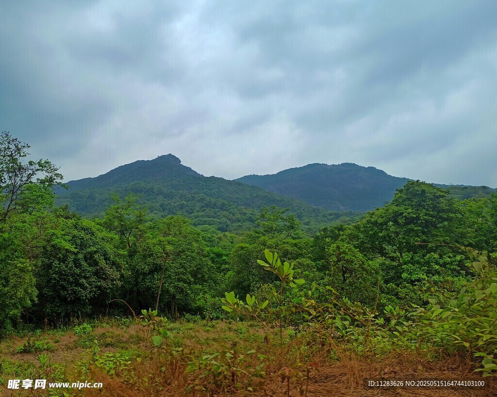 山间绿野风景