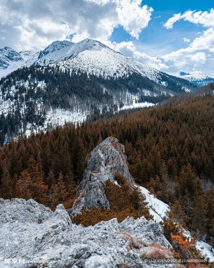 雪山森林壮丽自然景观