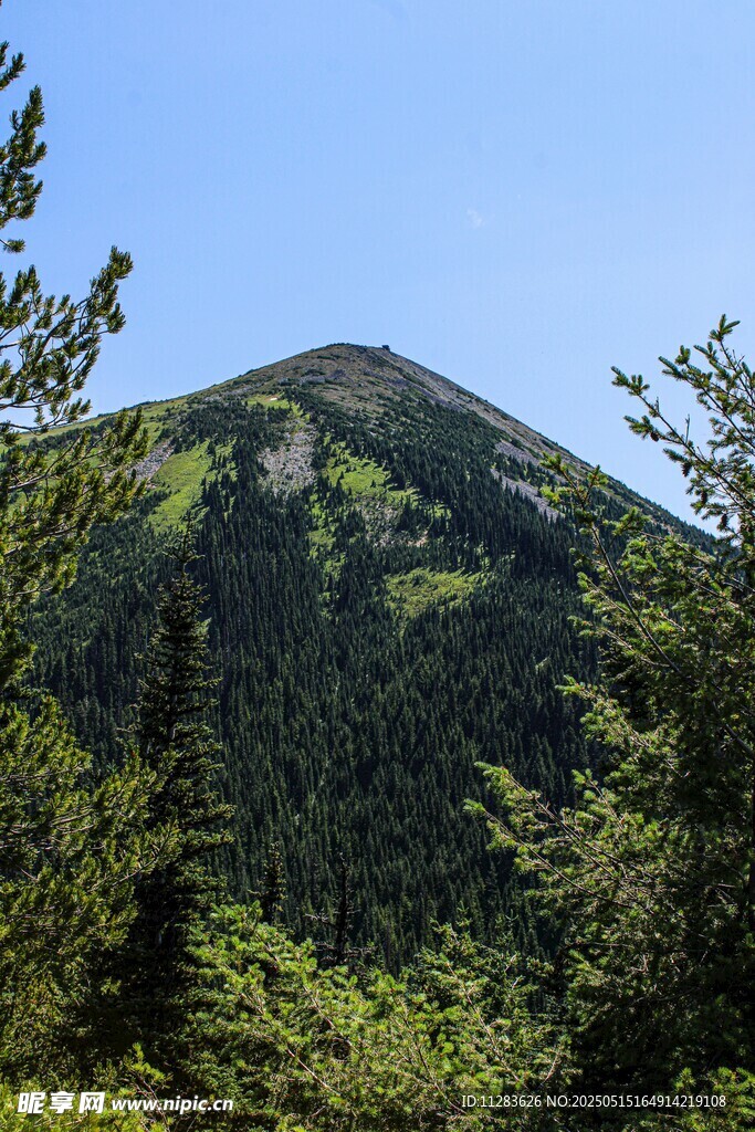 青山绿树间的秀丽山峰