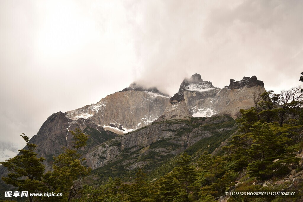 巍峨雪山与葱郁山林