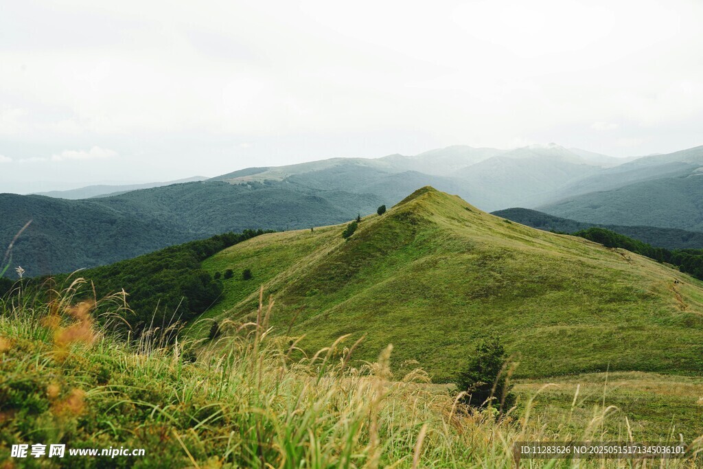 翠绿山峦美景