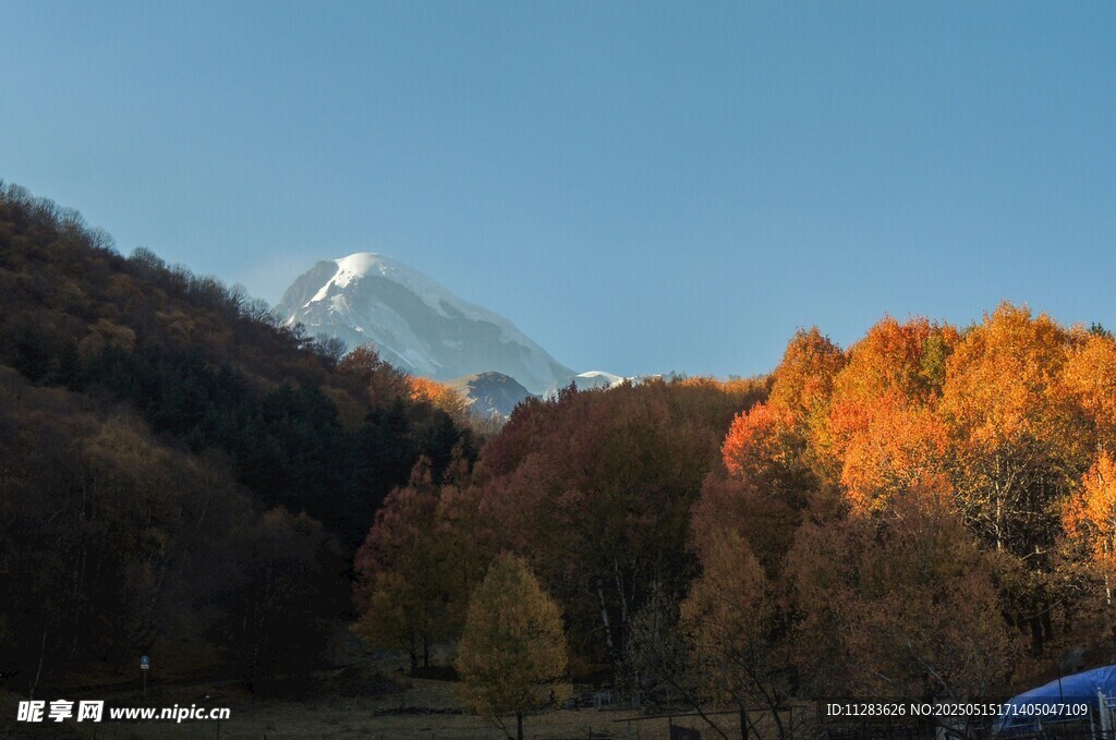 秋日山林中的雪山美景