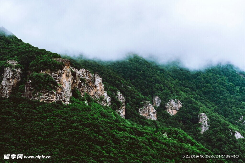 云雾缭绕的翠绿山峦