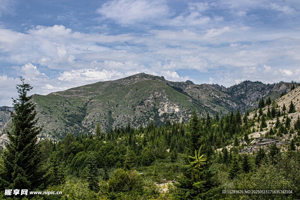 青山绿树间的壮美山景