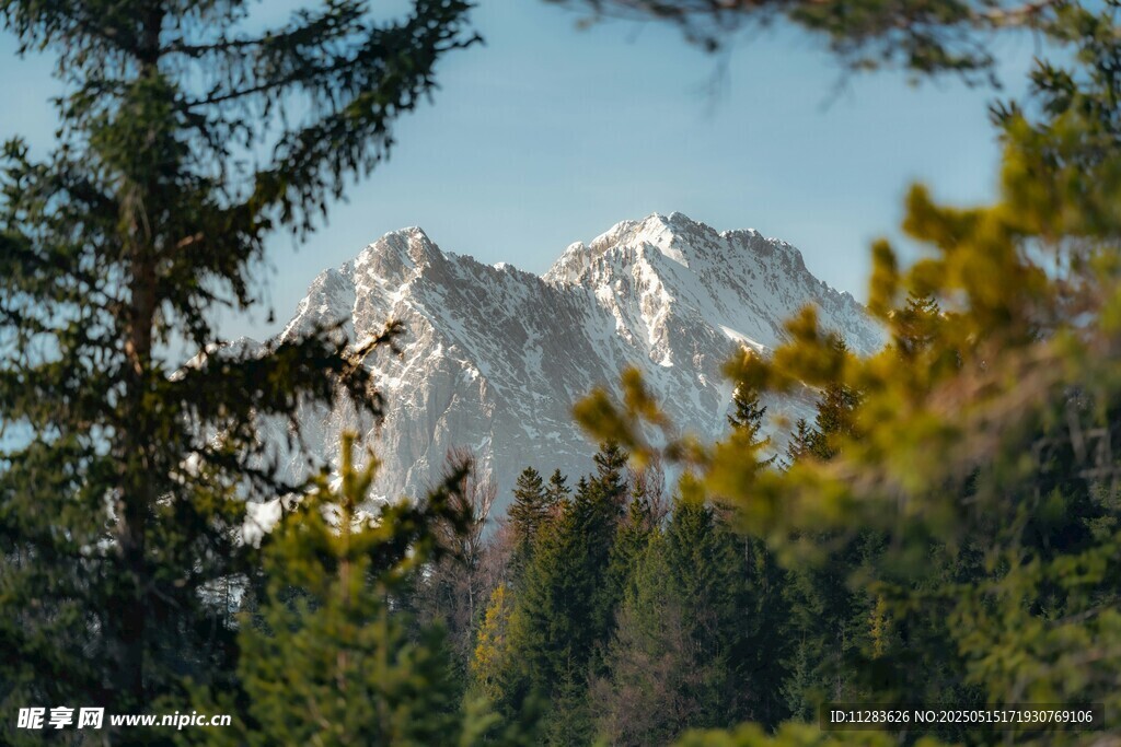 山林间远眺巍峨雪山