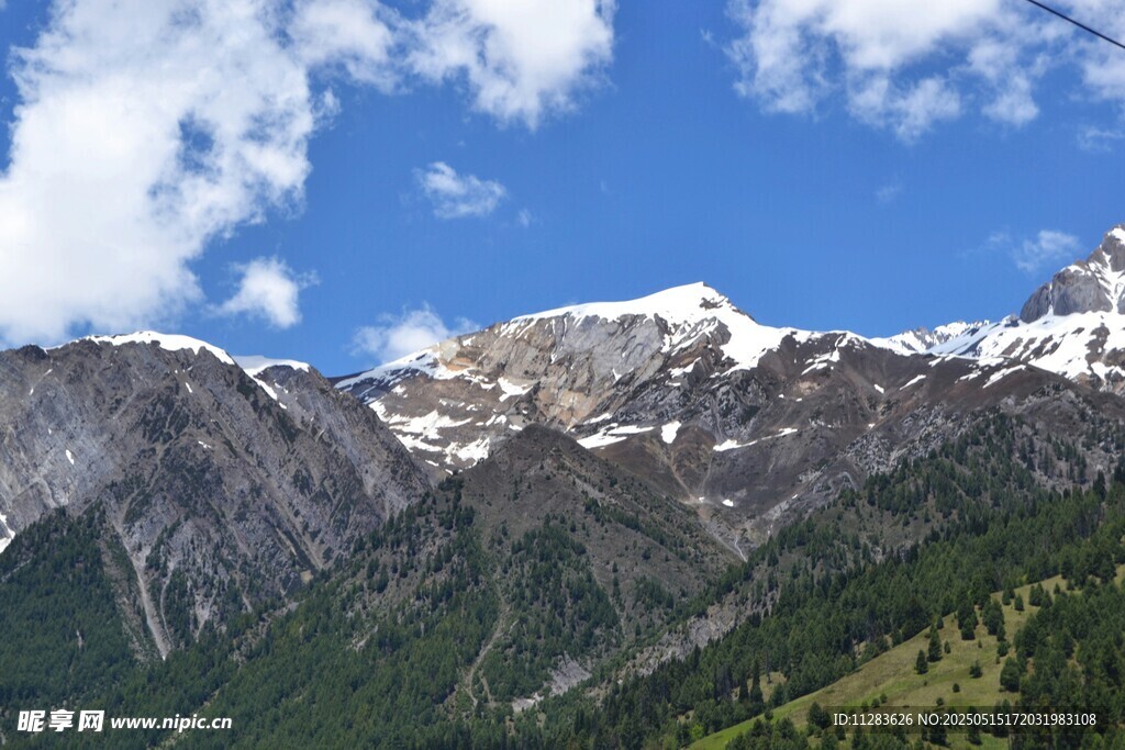 壮丽雪山与葱郁山林景观