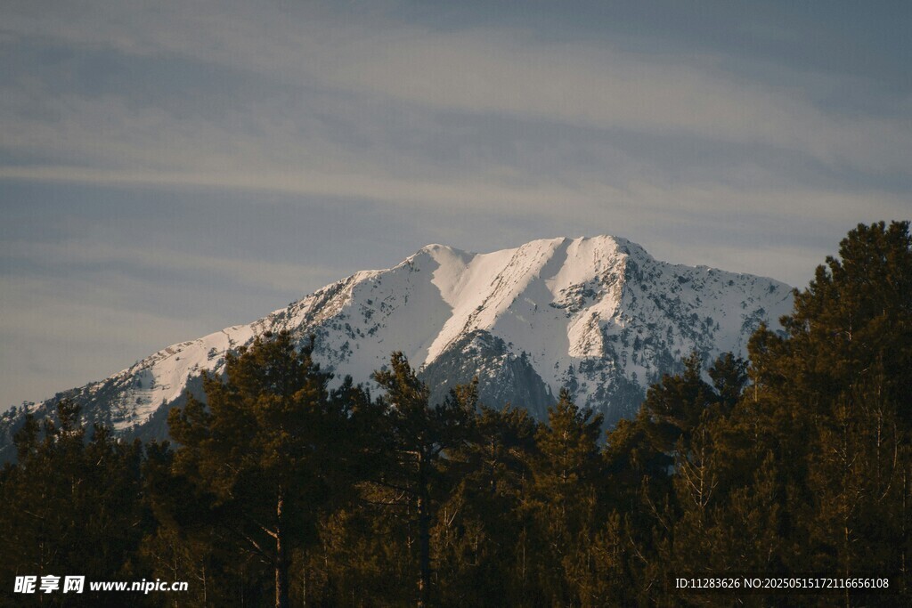 雪山映林景