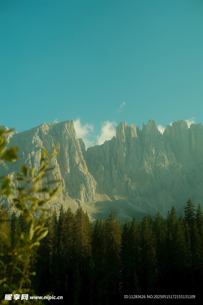 壮丽山景与葱郁森林