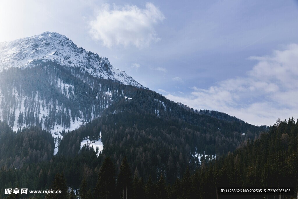 雪山森林美景