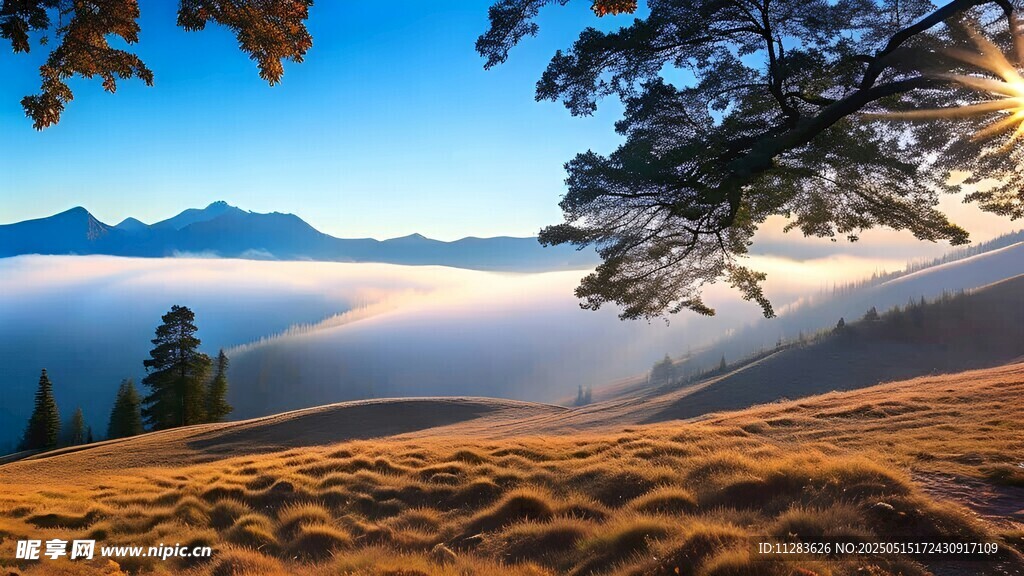 山间晨雾美景