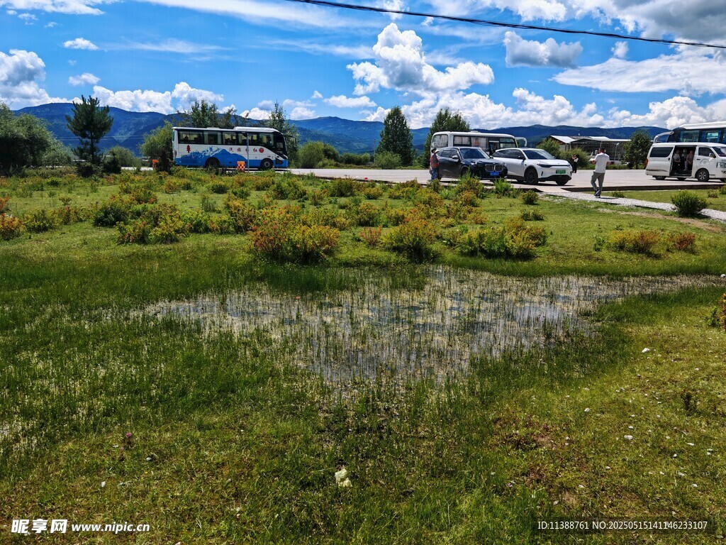 户外开阔草地风景