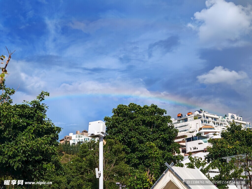 绿树掩映下的城市天际线