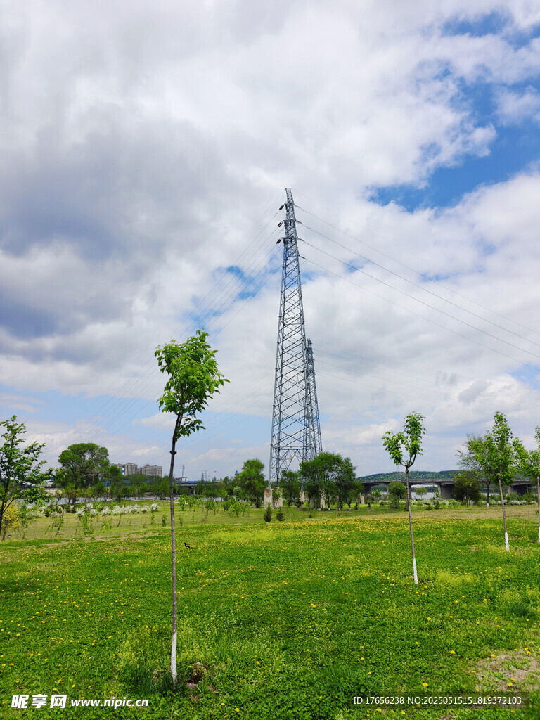 田野中的输电塔与绿树