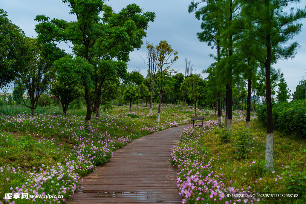 林间繁花小径