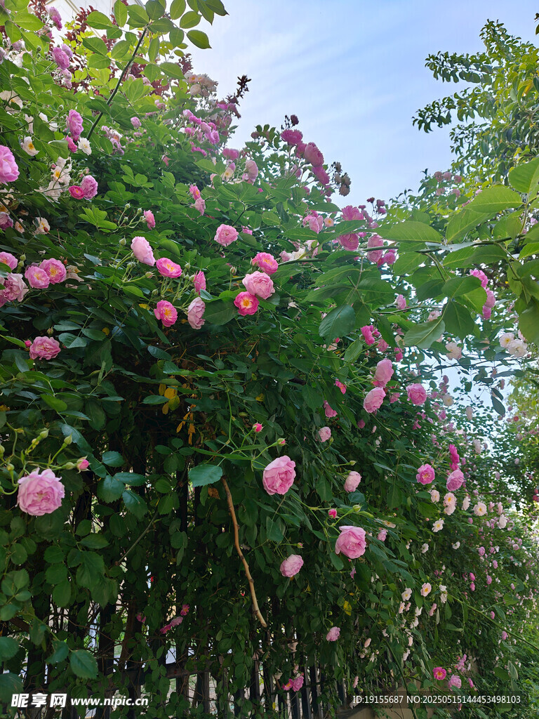 花墙