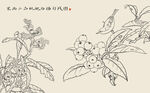 中式花鸟线描图案素材