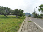 城郊道路