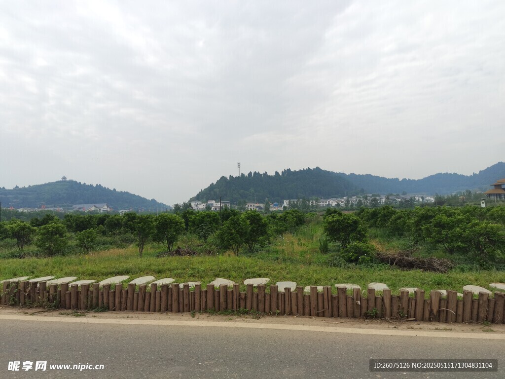 青山