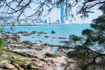 海边岩石旁的城市远景