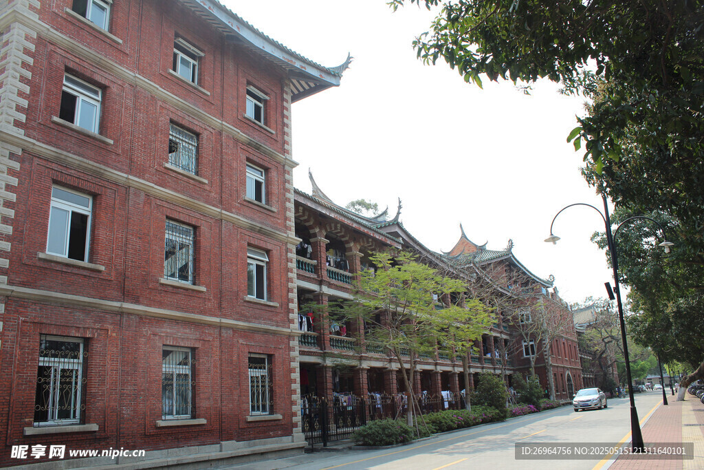 红砖建筑旁的林荫街道