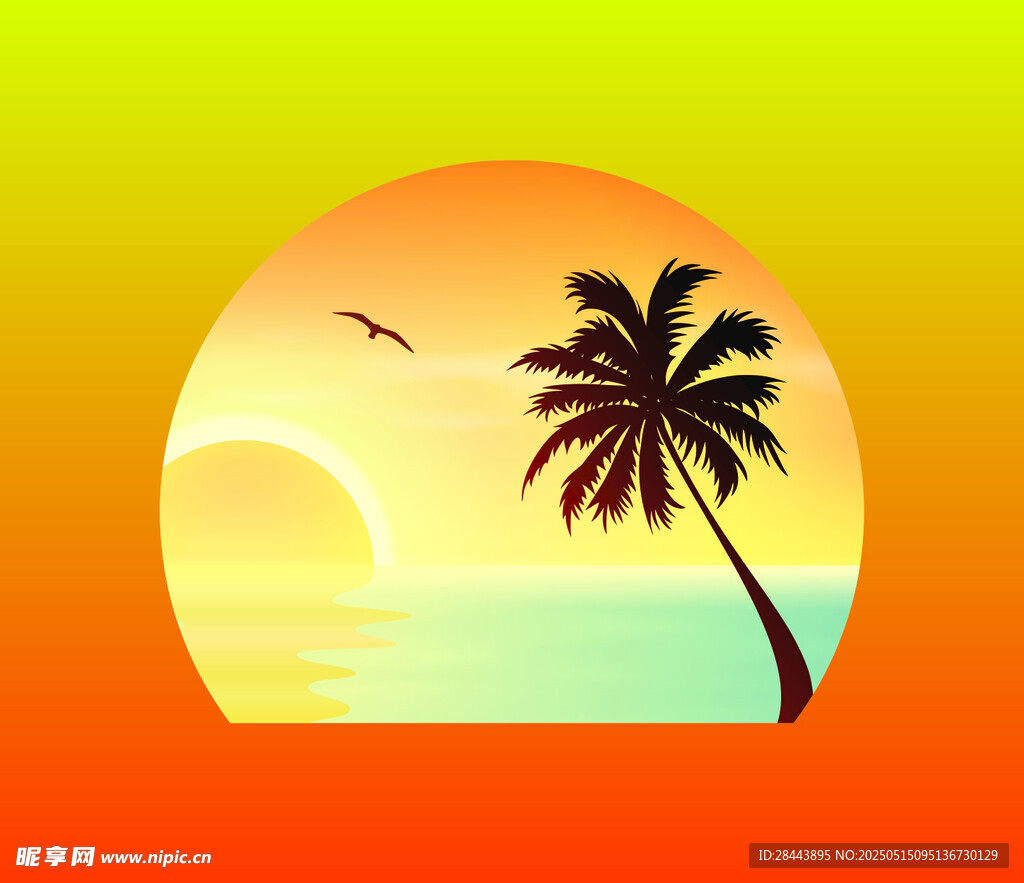 海边日落椰树美景