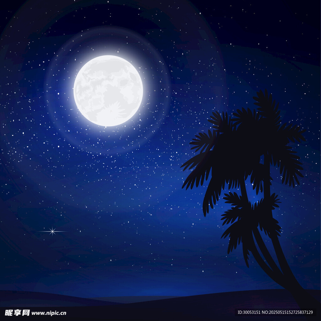 月夜下的棕榈树与星空