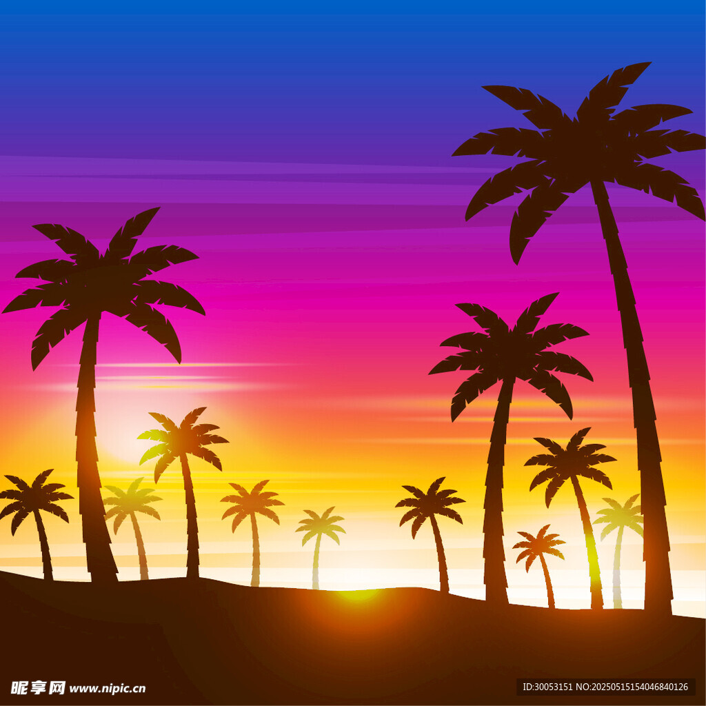 夕阳下的棕榈树美景
