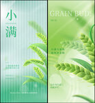 小满