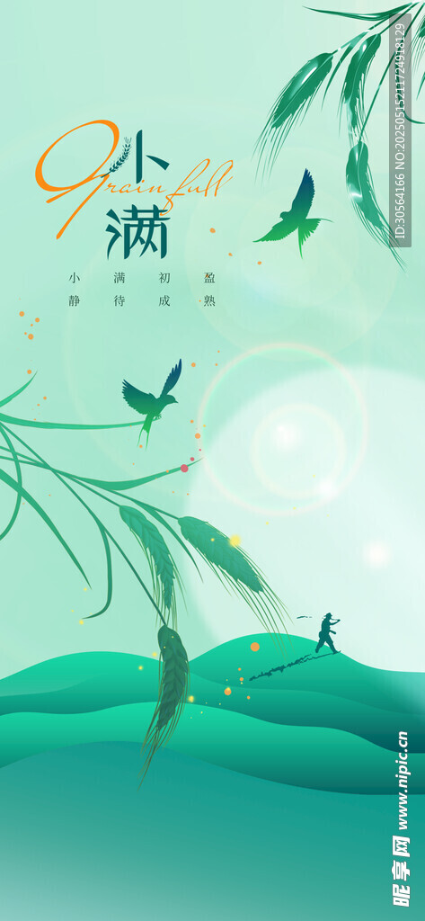 小满节气传统海报