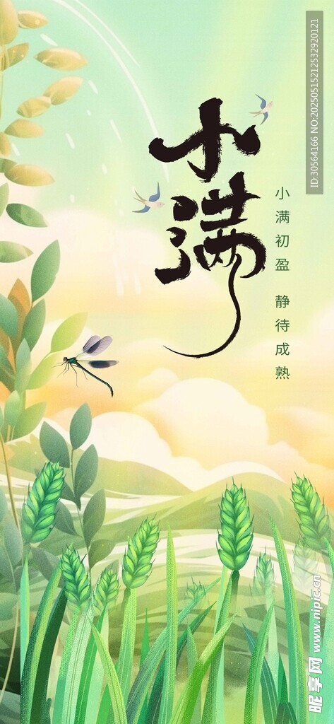 小满节气海报