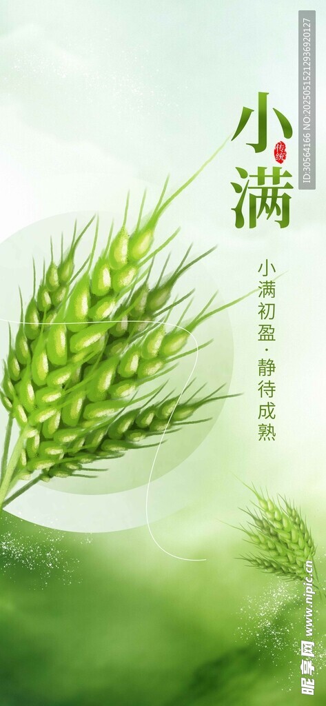小满节气海报