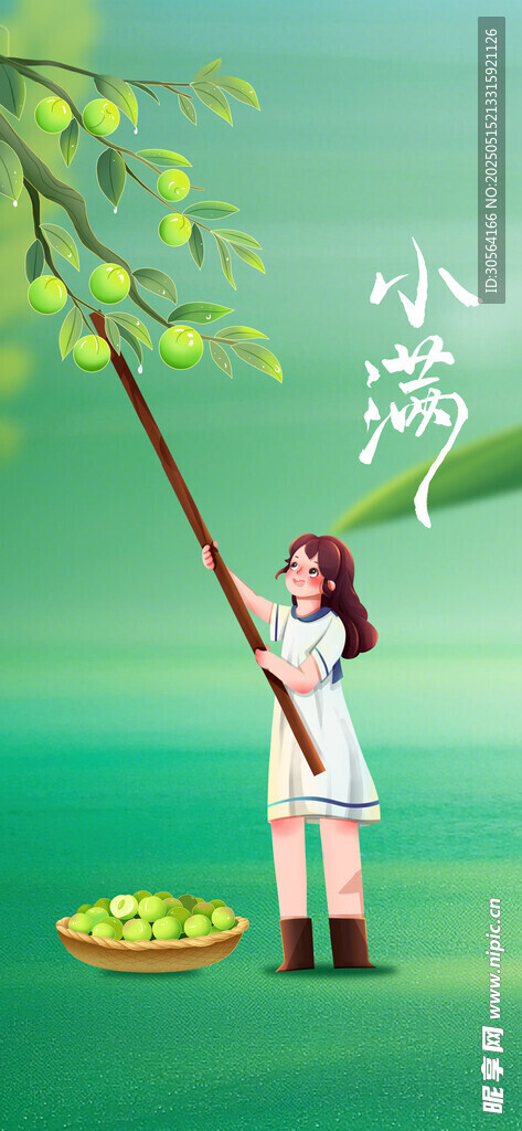 小满节气传统海报