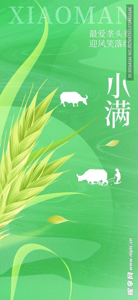 小满节气海报