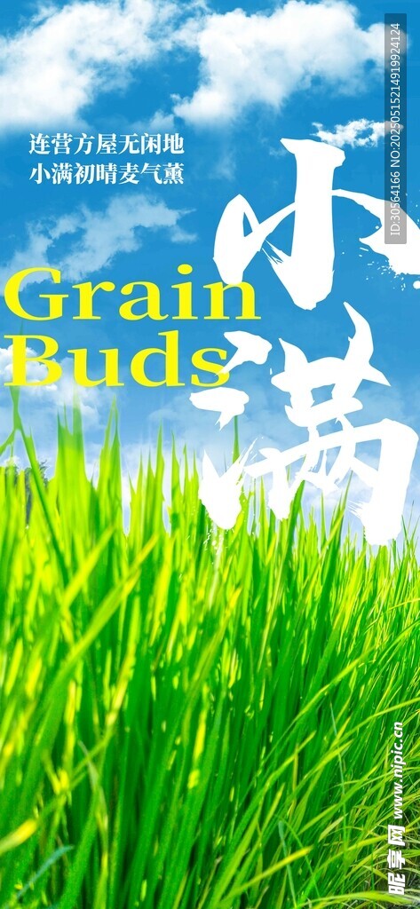 小满节气海报