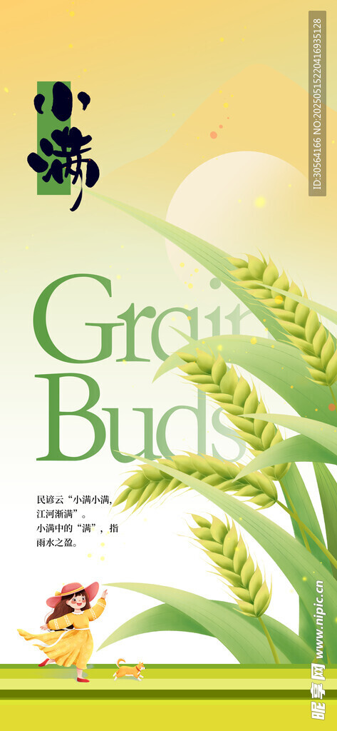 小满节气传统海报