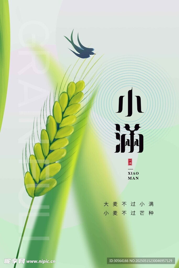小满节气传统海报