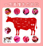 牛肉部位图