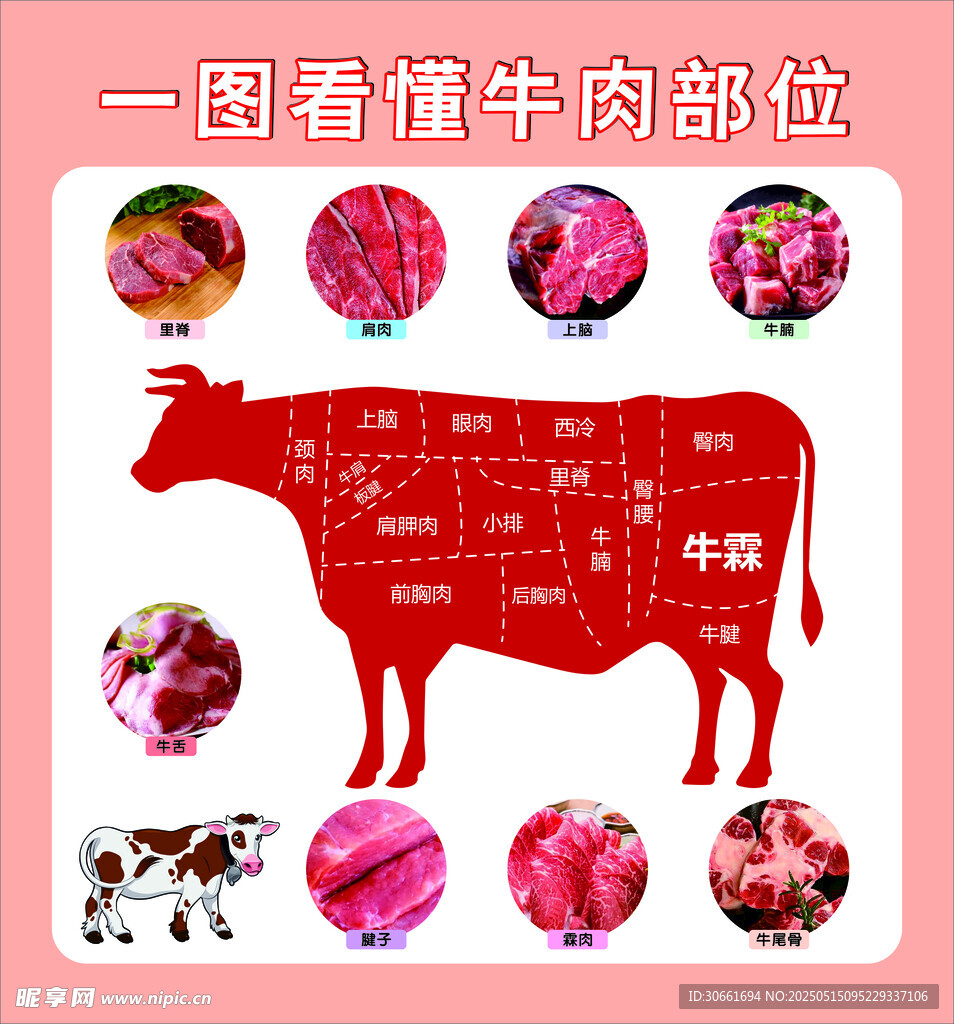 牛肉部位图