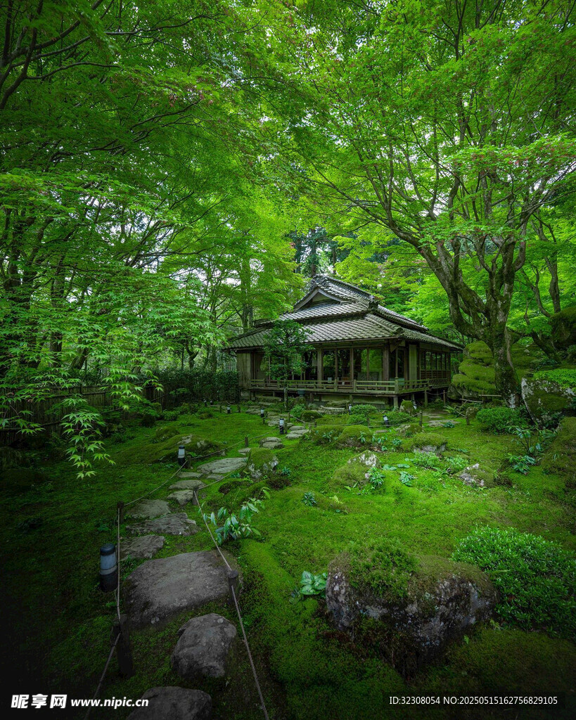 静谧日式林间庭院景观