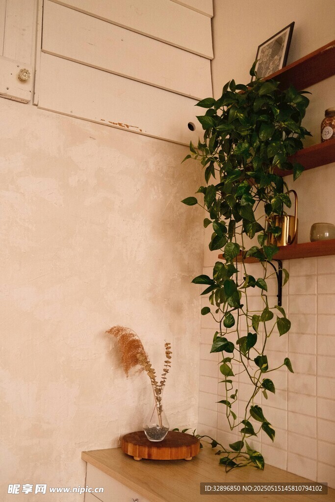 室内绿植装饰一角